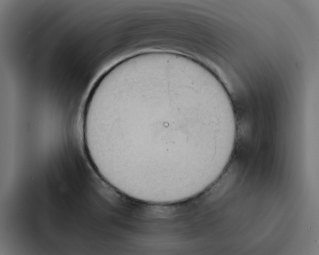 X0000087331514200705112146