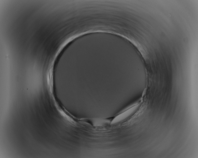 X0000087331515200705112146