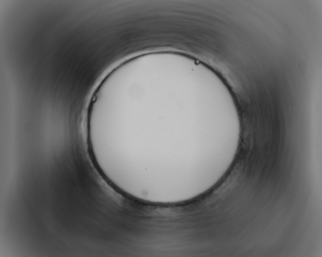 X0000087331516200705112146