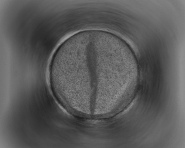 X0000087331517200705112146