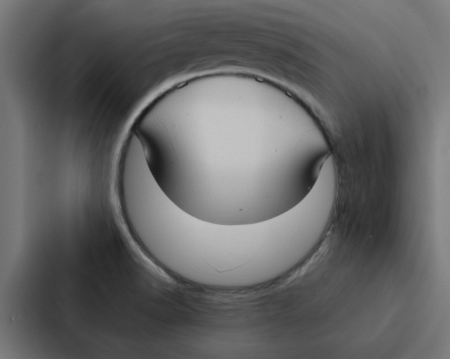 X0000087331518200705112146