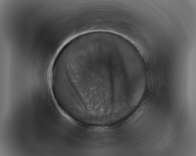 X0000087331519200705112146