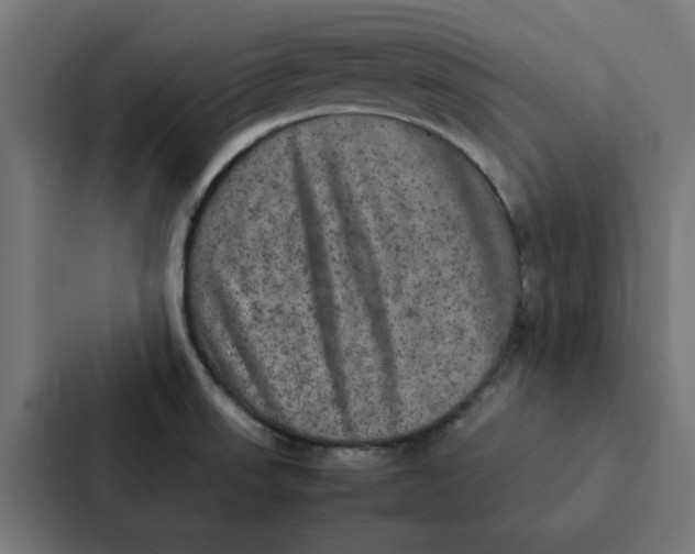 X0000087331523200705112147