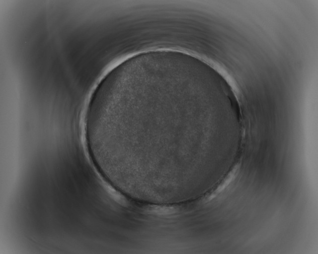 X0000087331525200705112147