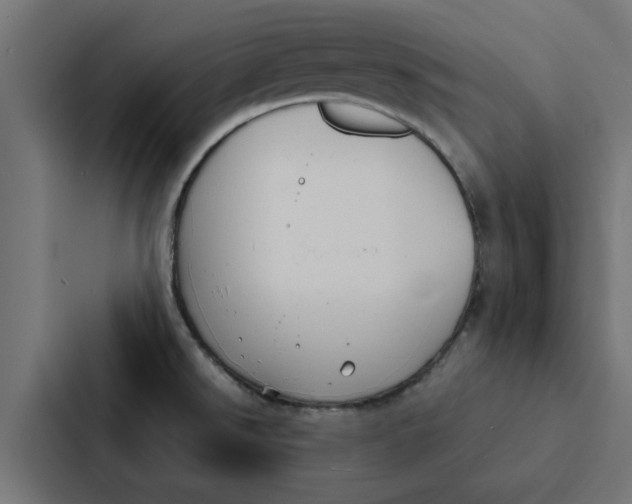X0000087331526200705112147