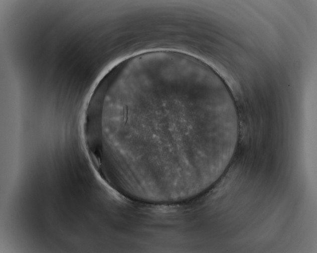 X0000087331527200705112147