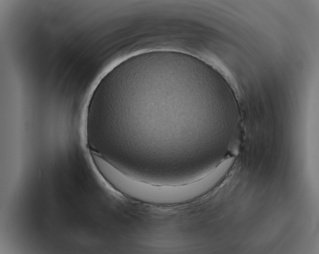 X0000087331528200705112147