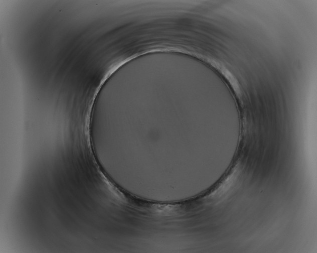 X0000087331529200705112147