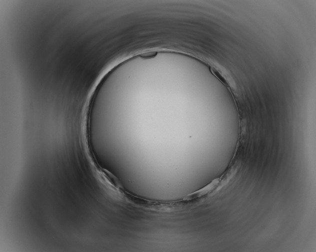 X0000087331530200705112147