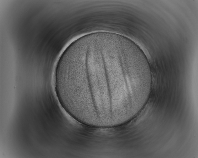 X0000087331531200705112147