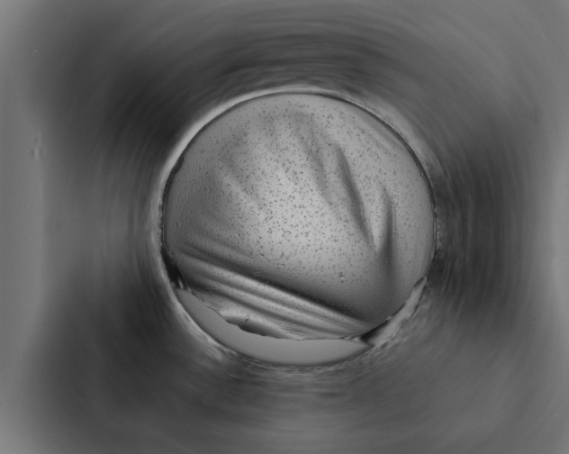 X0000087331532200705112147