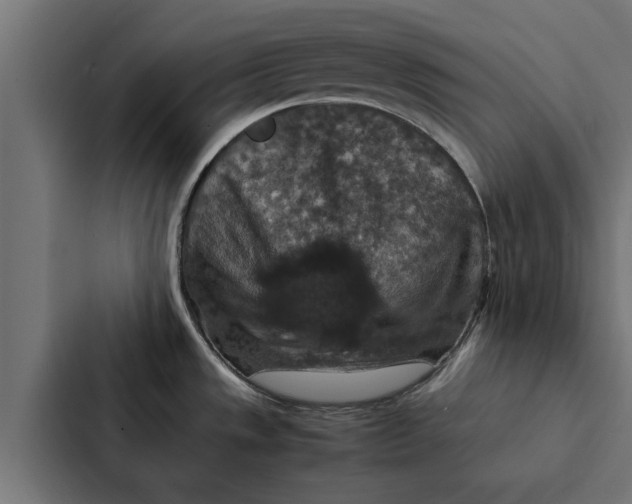 X0000087331533200705112147