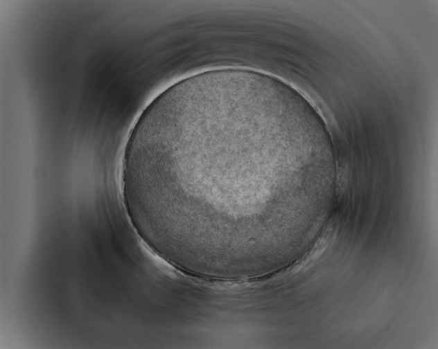 X0000087331535200705112147