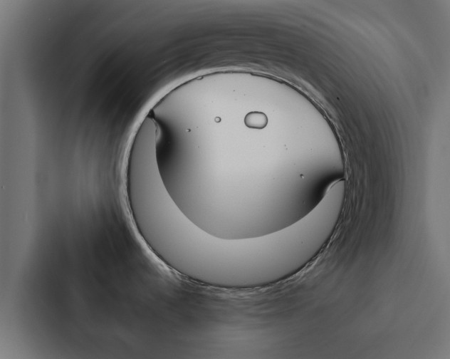 X0000087331536200705112147
