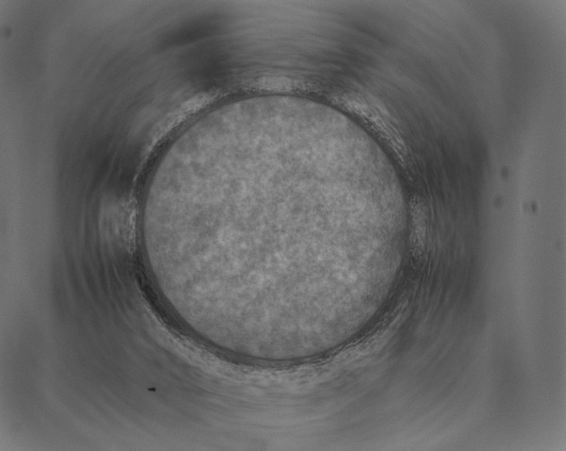 X0000087330016200705181047