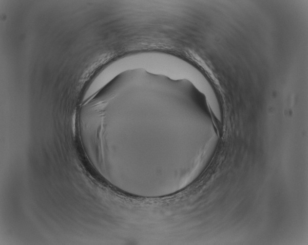X0000087330019200705181047