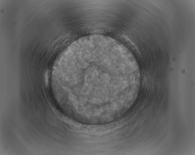 X0000087330026200705181047