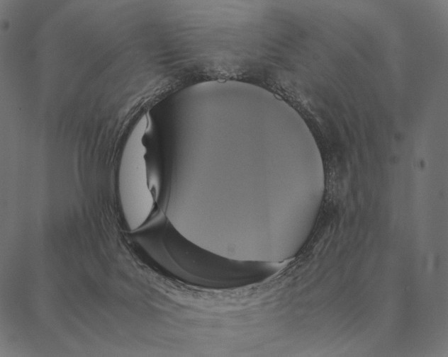 X0000087330027200705181047