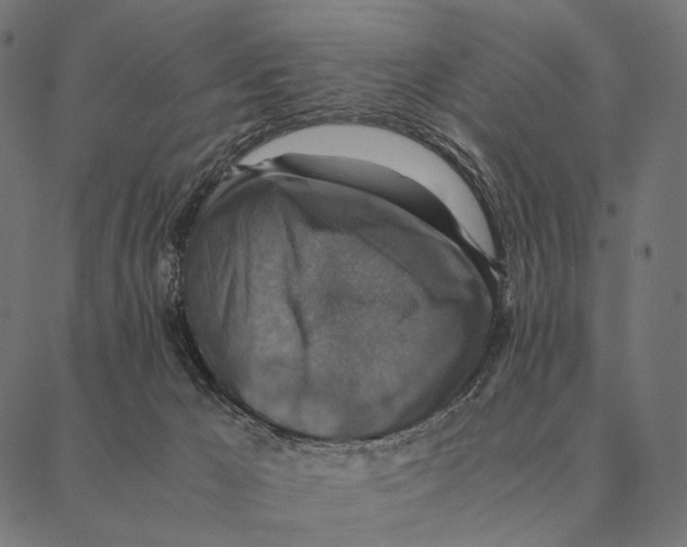 X0000087330029200705181047