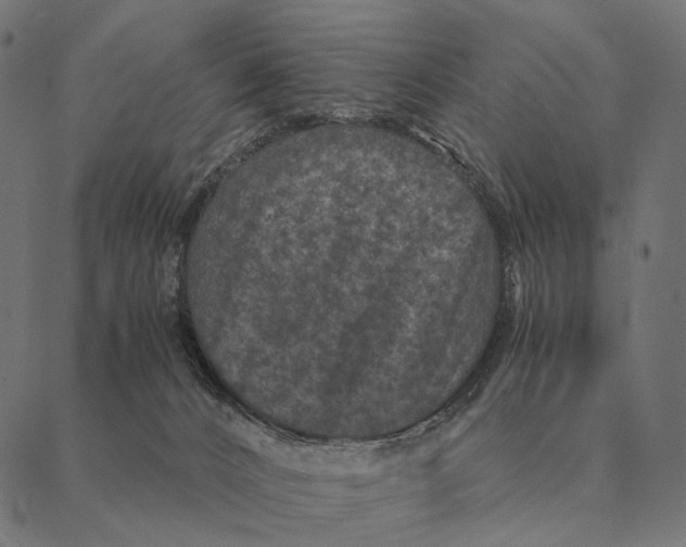 X0000087330032200705181047