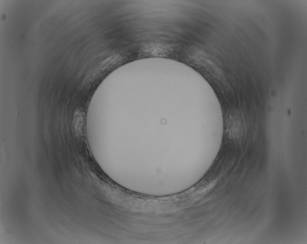 X0000087330036200705181047