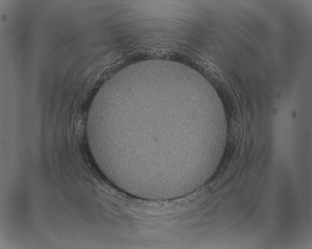 X0000087330037200705181047