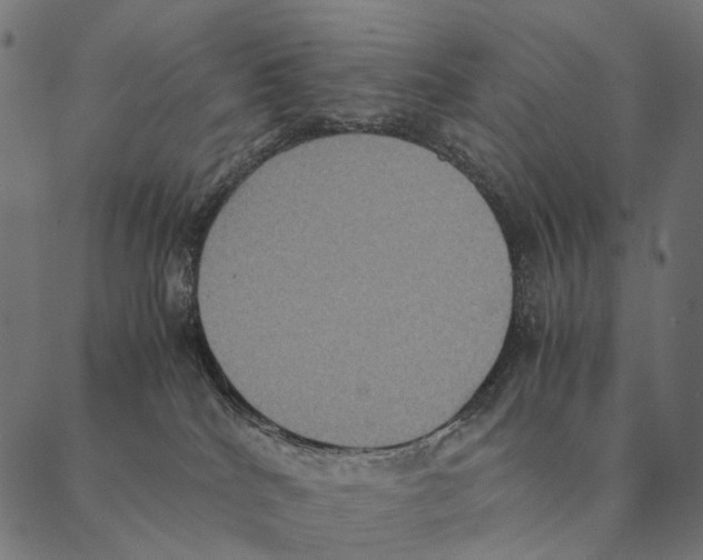 X0000087330040200705181047
