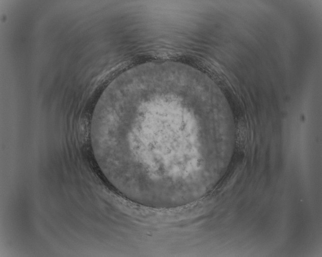 X0000087330043200705181047