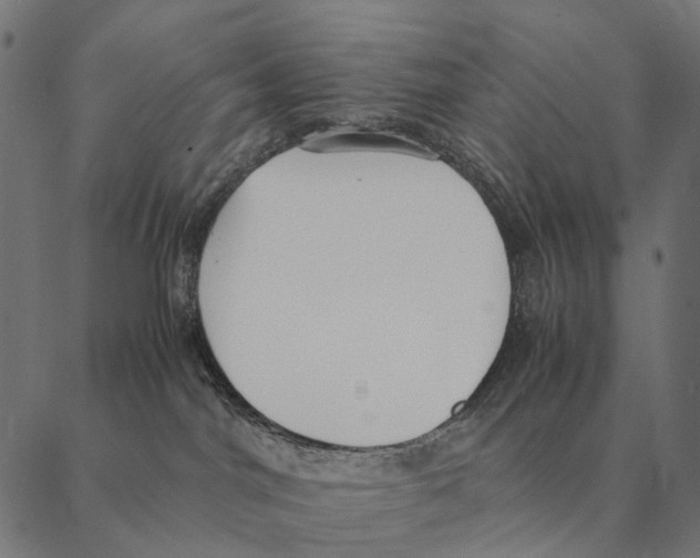 X0000087330044200705181047