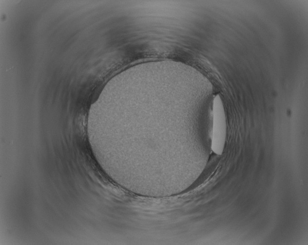 X0000087330045200705181047