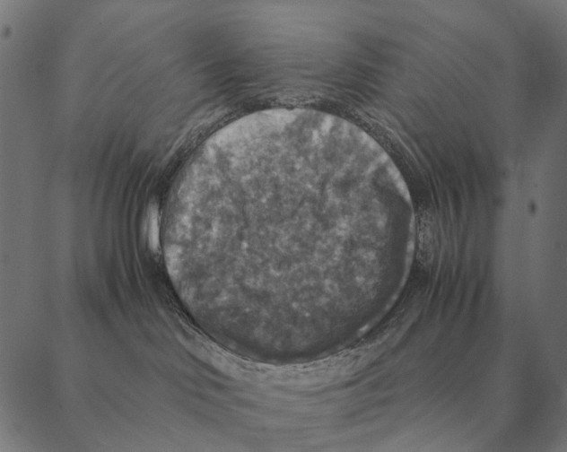 X0000087330046200705181047