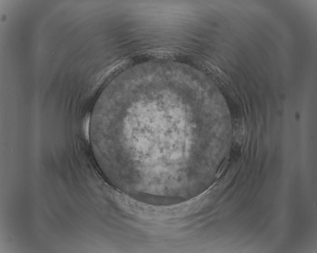 X0000087330047200705181047