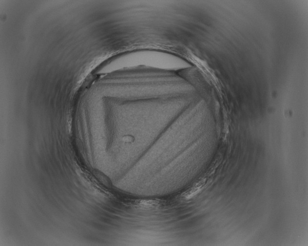 X0000087330060200705181046