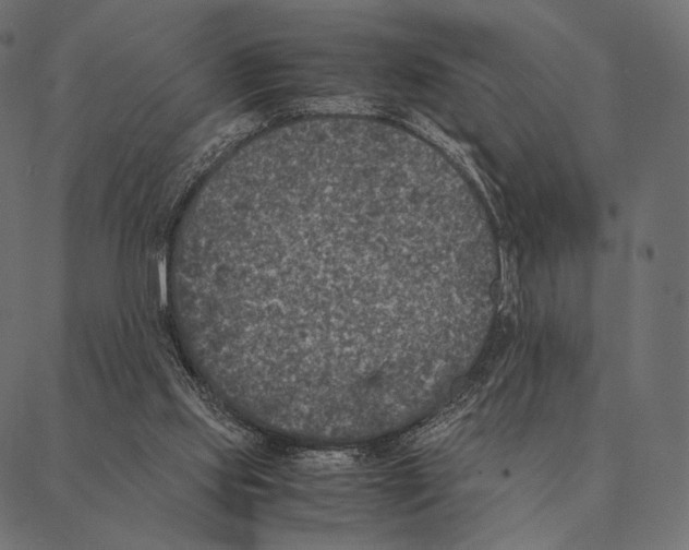 X0000087330061200705181046
