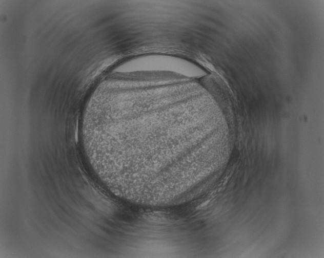 X0000087330062200705181046