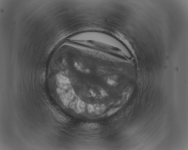 X0000087330063200705181046