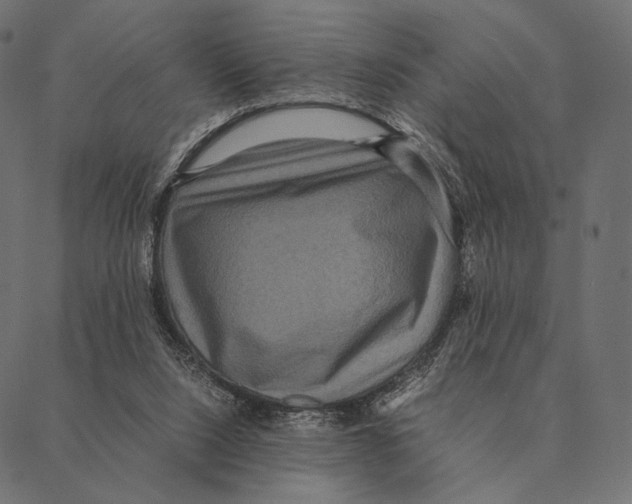 X0000087330064200705181046