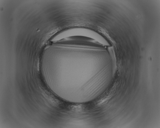X0000087330068200705181046