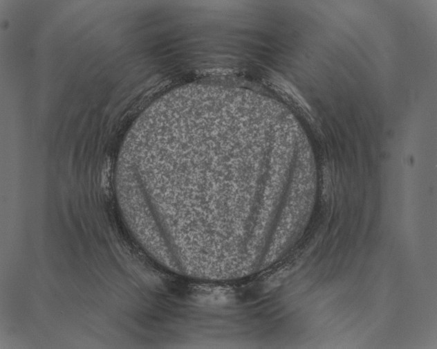 X0000087330073200705181047