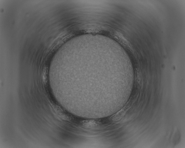 X0000087330074200705181047