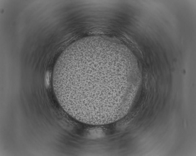 X0000087330075200705181047