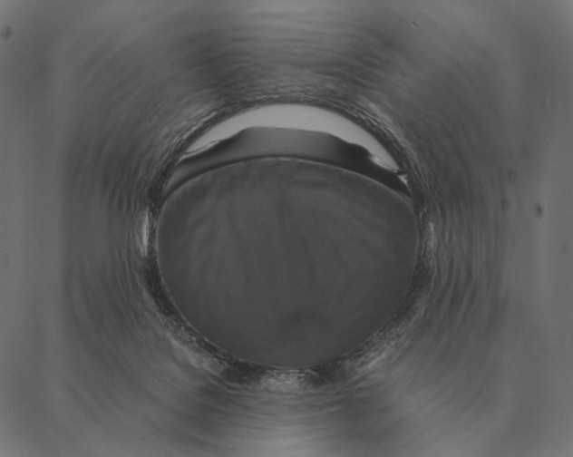 X0000087330076200705181047