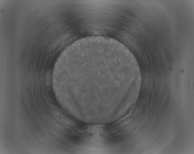 X0000087330078200705181047