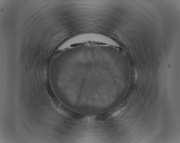 X0000087330080200705181047