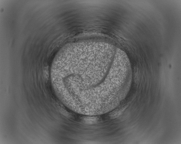 X0000087330085200705181047