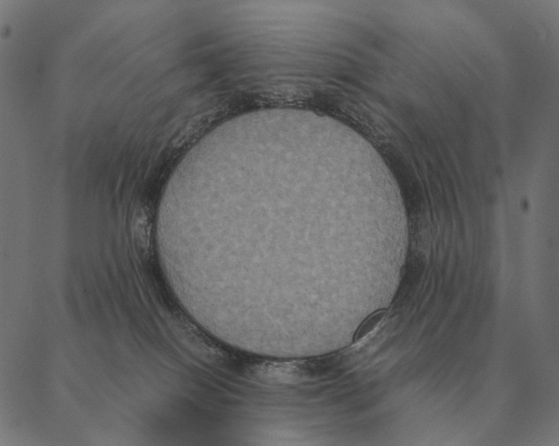 X0000087330086200705181047