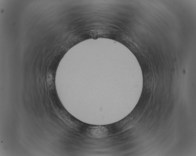 X0000087330087200705181047