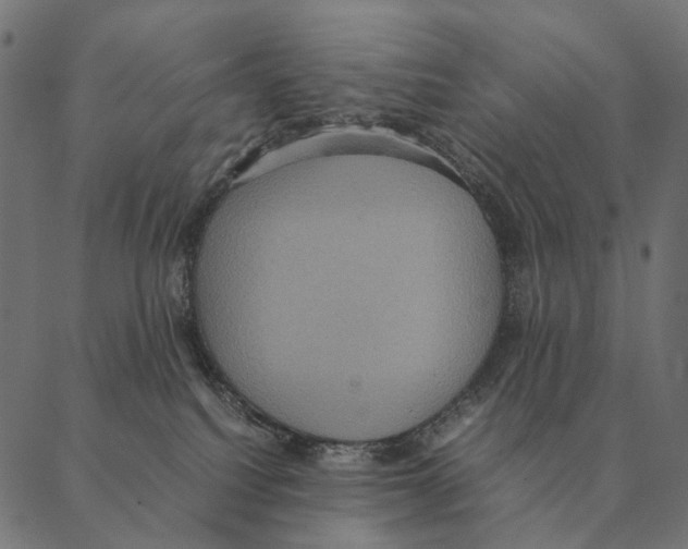X0000087330088200705181047