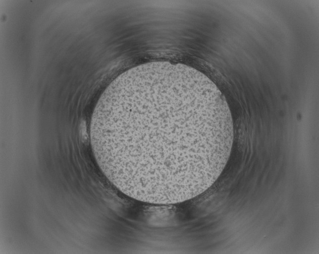 X0000087330089200705181047