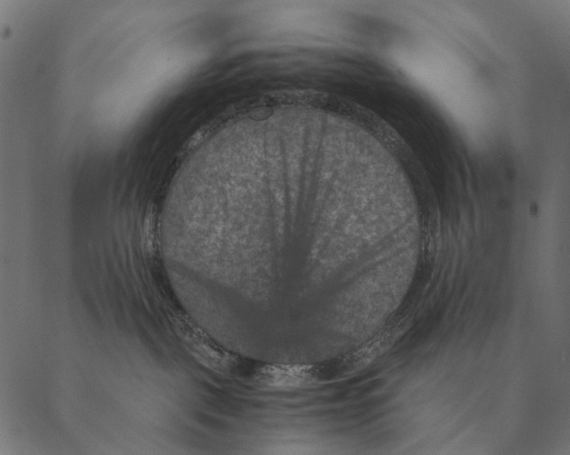 X0000087330093200705181047